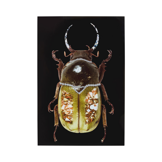 KARE Glasbild Shiney Beetle 80x120 cm