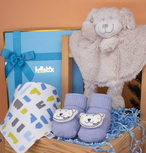 DeLovin Hallo Baby Schmusetuch, Anti-Rutsch Erstlingssöckchen und Lätzchen Baby